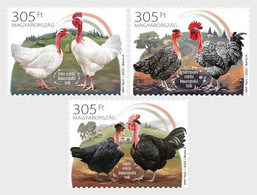 Hungary 2022 Indigenous Hungarian Poultry Breeds Set Of 3 Stamps Mint - Ungebraucht