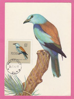 Carte Maximum - Oiseaux - Pologne - Rollier D'Europe - Coracias Garrulus 1963 - Maximumkaarten