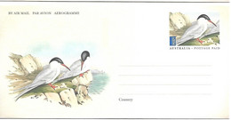 Australia  - Postal Stationery (Pre-stamped Envelope) (picture J.Gould) : Roseate Tern - Sterna Dougallii - Mouettes
