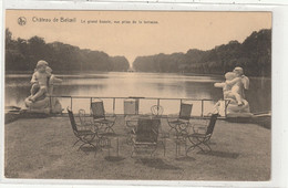 BELGIQUE 67 : édit. Lorphèvre - Carmon : Château De Beloeil Le Grand Bassin Vue Prise De La Terrasse - Beloeil