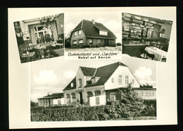 Orig. Foto Mehrbild AK 50er Bahnhofshotel Und Gästehaus Cap Horn, Nordseebad Nebel Auf Amrum - Nordfriesland