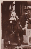 Lifeguardsman On Duty - Whitehall