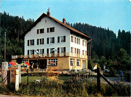 Gérardmer * L'hôtel De L'echo De Ramberchamp , Près Du Lac - Gerardmer