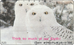 Japan  Phonecard  Eule Owl  Hibou - Gufi E Civette