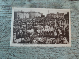 79 Bressuire Champ De Foire Bien Garni  TBE Vaches - Bressuire