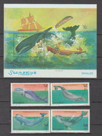 Somalie 1999 - Baleines - 4 Val + BF Neufs // Mnh // €30.00 - Somalië (1960-...)