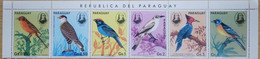 Bicentenary Of John Audubon, Birds, Bird, Animal, Paraguay Set Of 6v MNH 1985 - Passeri