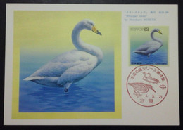 1992 JAPAN MAXIMUM CARD WITH 62 YEN POSTAGE STAMP AND CANCELLATION BIRDS AT WATER,S EDGE SERIES WHOOPER SWAN - Cartas