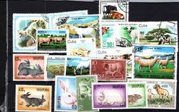 7632 Lot De  TIMBRES   ANIMAUX De La FERME  Vaches, Moutons, Chevaux, Moutons, Chèvre, Lapins    Divers - Boerderij