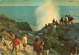 - 85 - SAINT-HILAIRE-DU-RIEZ (Vendée) - Corniche Vendéenne (site Classé) - Le Jet D'eau - Scan Verso - - Saint Hilaire De Riez