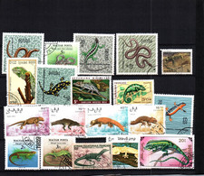 7642 Lot De  TIMBRES   REPTILES  SERPENTS CAMELEON GEKO  VARAN       Divers - Sonstige & Ohne Zuordnung