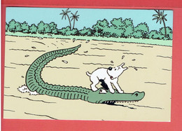 TINTIN AU CONGO HERGE 1993 MILOU SUR UN CROCODILE CARTE EN TRES BON ETAT - Hergé