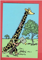 TINTIN AU CONGO HERGE 1993 TINTIN ET MILOU DEGUISES EN GIRAFE CARTE EN TRES BON ETAT - Hergé