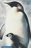 TELECARTE ETRANGERE... - Pingouins & Manchots
