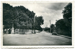 17130 MONTENDRE - Avenue De La République - CPSM éditions Trouvé - Montendre