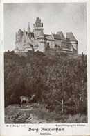 BURG KREUZENSTEIN - GUDSEITE -  F. P. - Korneuburg