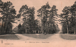 CPA - LE GÂVRE - Forêt Du Gâvre Le Rond-Point ... LOT 2 CP - Le Gavre