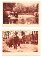 Cpa, Lot 2 Photos,  2 Scannes Plus Verso Publicité "jean Bart", Parc Zoologique, Eléphants, Belle Carte - Elephants