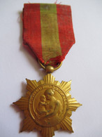 Médaille D'OR De La Famille Française/ RF / La Patrie Reconnaissante/ Ministère De L'Hygiène/Vers 1920-30        MED412 - Documenti