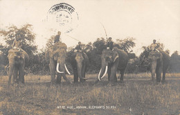 CPA ASIE HUE ANNAM ELEPHANTS DU ROI - Viêt-Nam