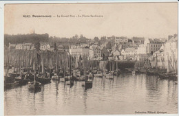 Douarnenez (29 - Finistère) Le Grand Port - La Flotte Sardinière - Douarnenez