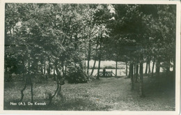 Ameland 1959; Nes. De Kweek - Gelopen. - Ameland