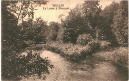 CPA Carte Postale Belgique-Wellin La Lesse à Neupont 1930 VM50977 - Wellin