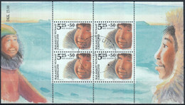 GROENLANDIA 2005 Nº HB-30 USADA, CIRCULADA - Used Stamps