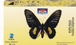 INDONESIA - Butterfly, Troides Haliphnon, 02/96, Used - Farfalle