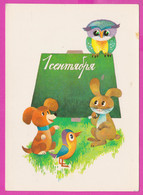 Delcampe - 276743 / Russia Illustrator E. Dergeleva - First School Day - September 1 , Eurasian Eagle-owl Rabbit Bear Bird Sparrows - Einschulung