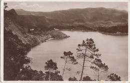 PORTUGAL - Madeira - Lagoa Das Furnas - Madeira