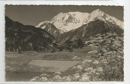 74 Haute Savoie St Nicolas De Véroce Le Massif Du Mont Blanc Carte Photo Fumex De St Gervais - Autres & Non Classés