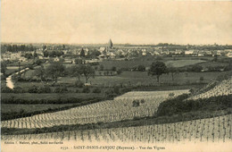 St Denis D'anjou * La Rue Des Vignes * Vignoble - Sonstige & Ohne Zuordnung