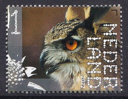 Nederland - Beleef De Natuur - 13 Juni 2022 - Sint-Pietersberg - Oehoe - Bubo Bubo - MNH - Unused Stamps