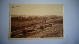 ROMEREE Panorama Du Haut Du Village  Commune De Doische Province Namur Belgique Carte Postale - Doische