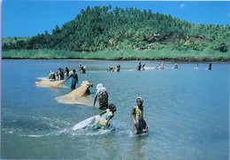 Carte Postale : MAYOTTE : Pêche Au Djarifa Dans La Baie De Chiconi - Mayotte