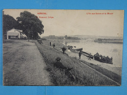 Herstal L'Ile Aux Osiers Et La Meuse - Herstal