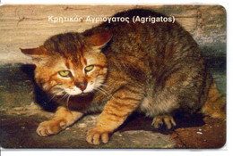 Chat Cat Katze Télécarte Grèce Animal  Phonecard ( D 824) - Grèce