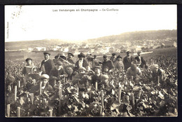 LES VENDANGES EN CHAMPAGNE - LA CUEUILLETTE DU RAISIN - 1913 AMBONNAY - Reims