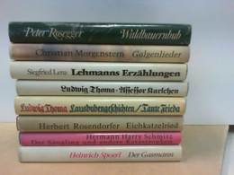 Konvolut 8 Bücher : Der Gasmann; Der Säugling Und Andere Katastrophen; Eichkatzelried; Lausbubengeschichten, T - Nouvelles