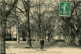 Mur De Bretagne * La Promenade De Ste Suzanne - Sonstige & Ohne Zuordnung