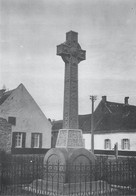 CPSM Monument à Antoing-Bataille De Fontenoy   L1630 - Antoing