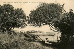 Royan * Environs * Sous Les Yeuses * Au Bureau - Royan