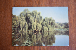 D790 Parcul Taul Tsaulsky Park Republica Moldova Basarabia 1975 - Moldavie
