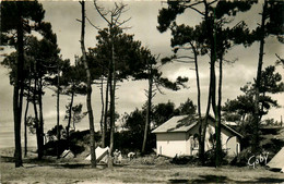 Le Cormier * La Plaine Sur Mer * Le Sous Bois De La Sauzinière - La-Plaine-sur-Mer