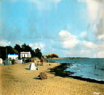 Les Moutiers En Retz * La Plage Du Pré Vincent - Les Moutiers-en-Retz