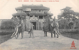 CPA ASIE ANNAM HUE ELEPHANTS ROYAUX A L'ENTREE DU PALAIS - Viêt-Nam