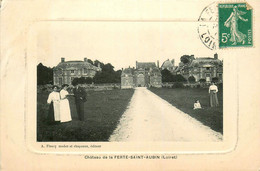 La Ferté St Aubin * Allée Et Le Château - La Ferte Saint Aubin