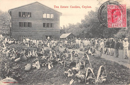 CPA ASIE CEYLON THE ESTATE COOLIES CEYLON - Sri Lanka (Ceylon)
