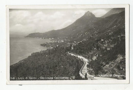 Italie - Italia - Italy - Trento Lago Di Garda Gardesana Occidentale Oliveto Di Gargnano Route - Trento